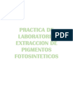Practica de Laboratorio Extraccion de Pigmentos Fotosinteticos