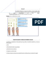 Fracturas y Luxaciones