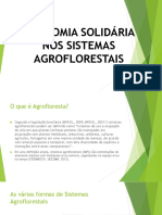 Economia Solidária Nos Sistemas Agroflorestais