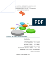 4        Ensayo clasificacion de sistemas.pdf