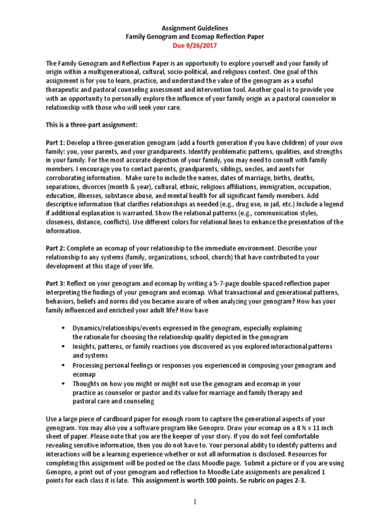Essay family subsystem genogram 06 image