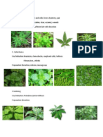 Medicinal Plants by DOH