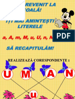 Recapitulare_A M U N