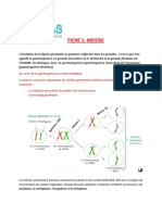 FICHE 1 La Méiose