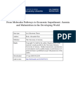 Anemia Malnutrition Molecular to Economic Pathways