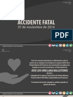 Reflexion Accidente Fatal 07 Nov.pdf