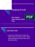 Radang Kronik: Rino Pattiata Dept. Patologi Anatomik Fkui