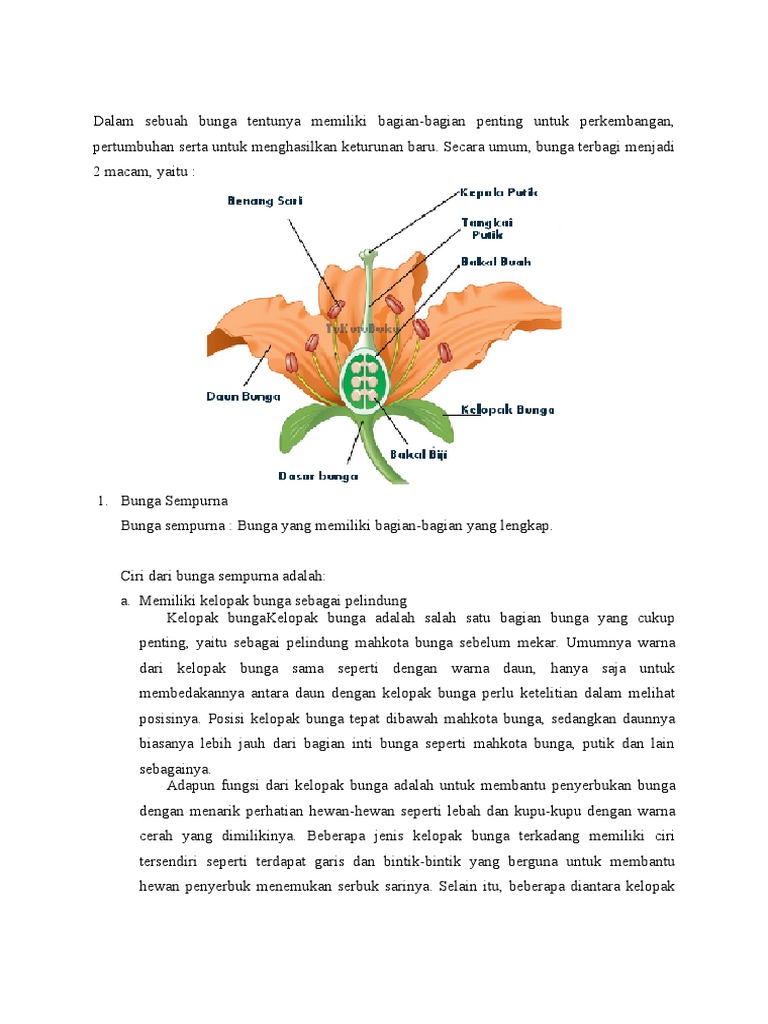 Perbedaan Bunga  Lengkap  Dan Tidak  Lengkap 