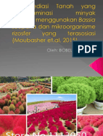 Fitoremediasi Tanah Yang Terkontaminasi Minyak Mentah Menggunakan Bassia