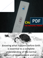 The Prenatal Period