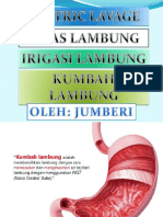 Kumbah Lambung