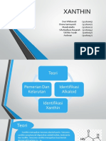 Xanthin New