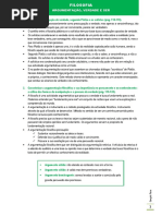 Argumentação, Verdade e Ser