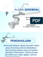 Malaria Serebral