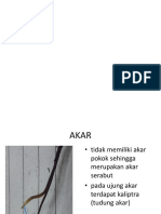 akar