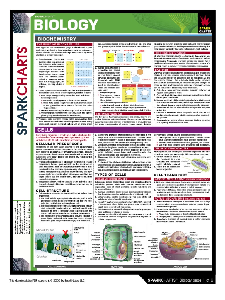 Biology Chart | PDF