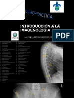 Introducción A La Imagenologia