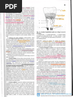 Anatomia Omului Papilian Vol I