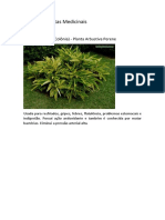 Possíveis Plantas Medicinais