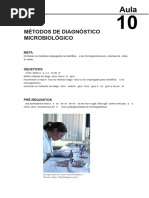 259095058 Organizacao e Evolucao de Genomas