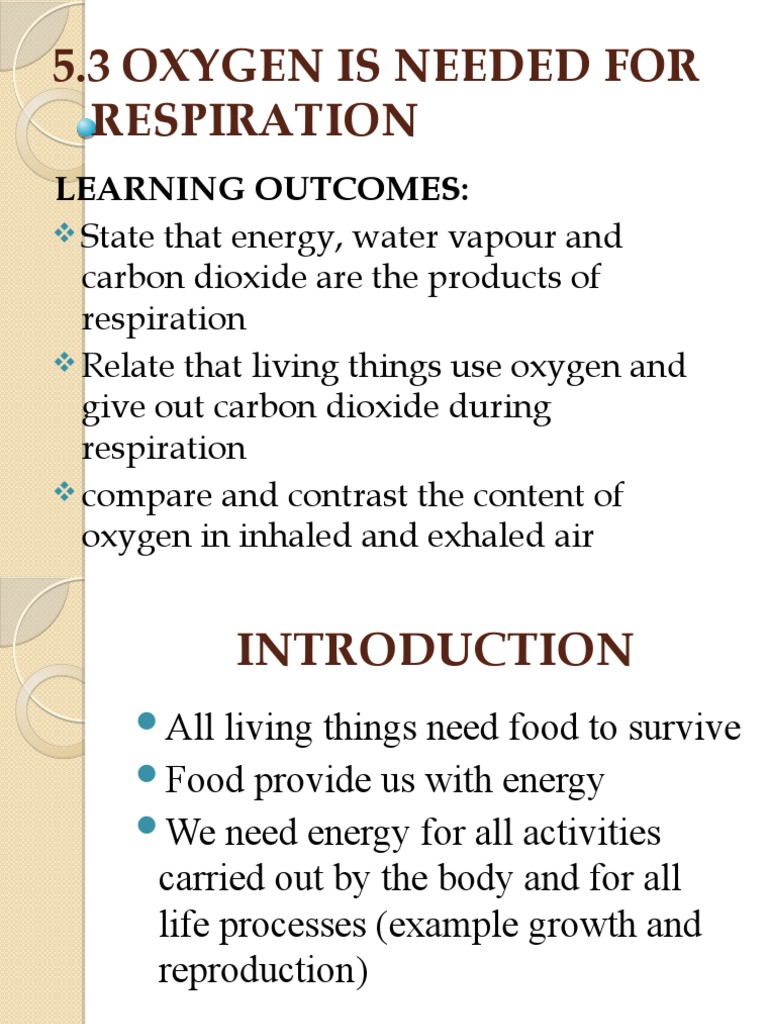 Importance of Oxygen in Respiration | PDF | Breathing | Chemical Elements