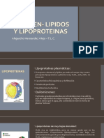 resumen-lipidosylipoproteinas-160616032053