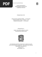 informe 1