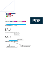 2.utilizare Strcpy C++