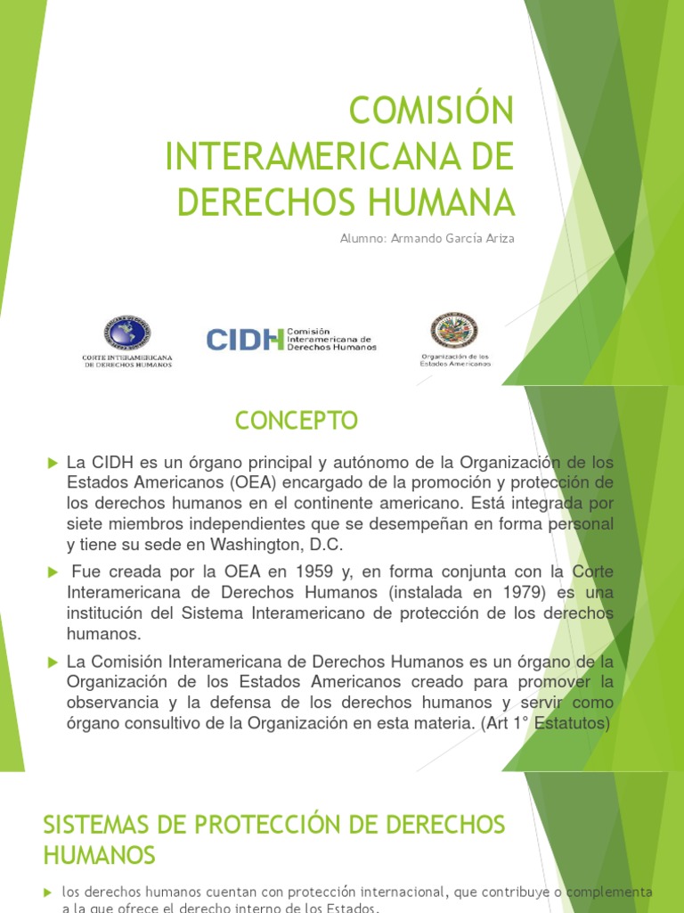 Funciones y Estructura de la CIDH | PDF | Comisión Europea | Gobierno