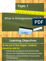 Chapter 5 - What Is Entrepreneurship