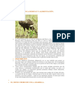 animales en peligro de extincion - Peru