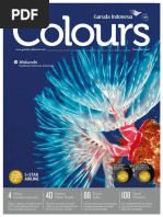 Download 201711 Colours LR by Wahyu Sujatmiko SN364642797 doc pdf