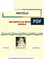 Rinitele