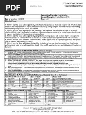 treatment plan