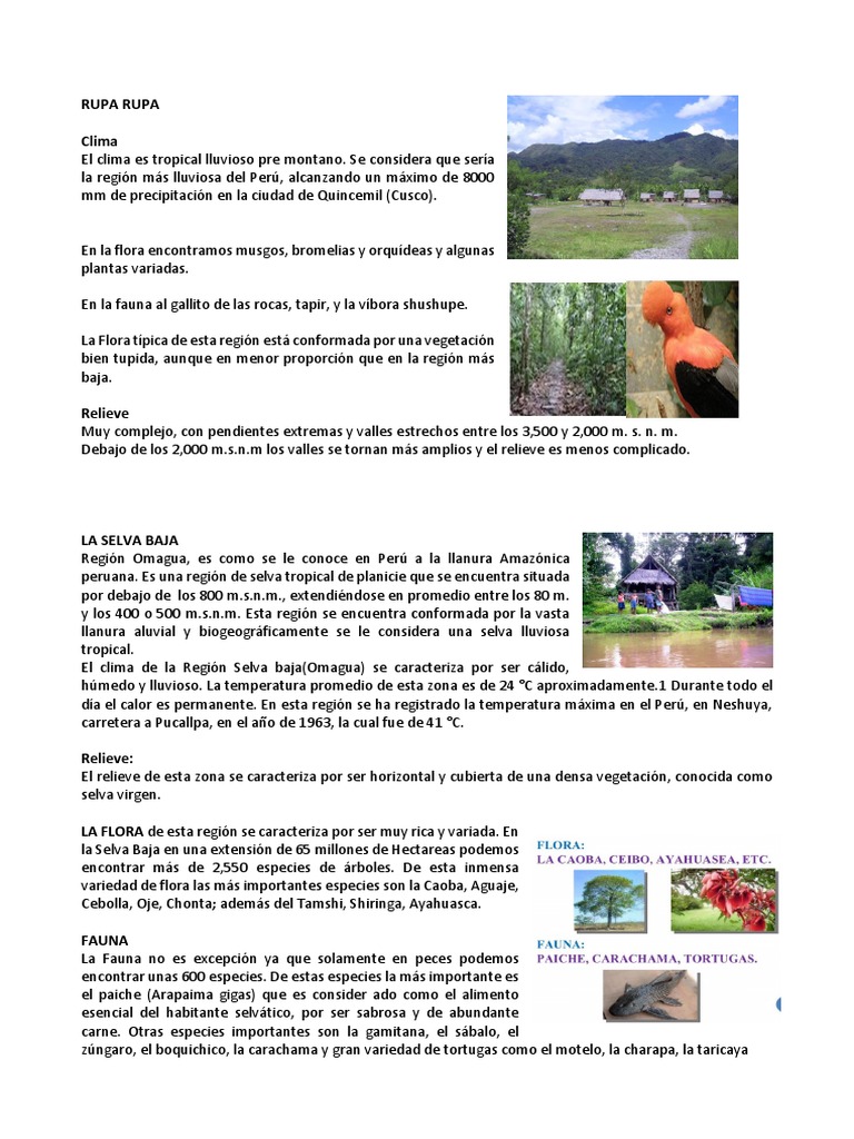 Flora y fauna de Rupa Rupa | PDF