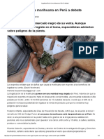 Legalización de La Marihuana en Perú a Debate _ Actualidad _ Peru21