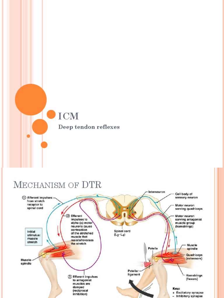 DTR | PDF | Wellness | Science & Mathematics