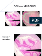 Histologi Sel Saraf