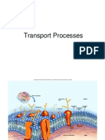 04 Transport PDF