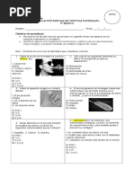 Prueba Quinto Salud e Higiene