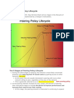 Peering Policy Lifecycle 2.pdf