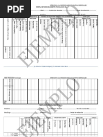 Perfil de Funcionamiento Psicologico Nro 1-Anee