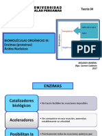 Bio Gen Teoria 4 2017 Enzimas y Ac. Nucleicos PDF