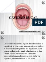 Cavidad Bucal (Completo)