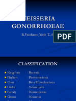 Neisseria Gonorrhoeae: Classification, Epidemiology and Treatment of Gonorrhea