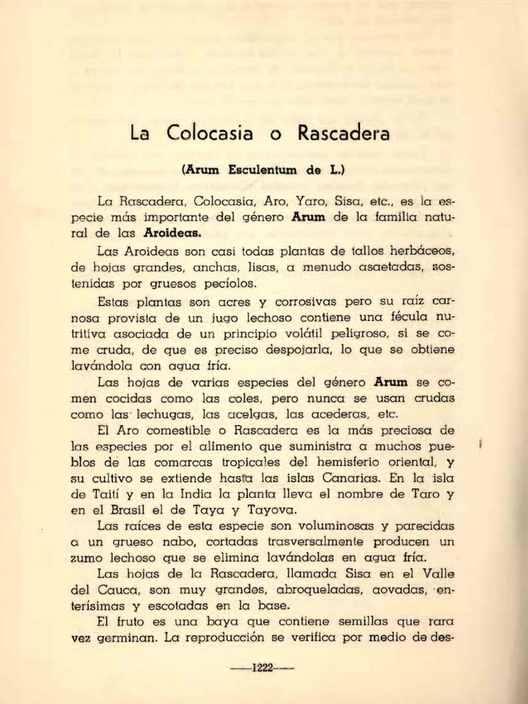Rascadera: Usos y Riesgos de la Planta | PDF | Plantas | Horticultura y ...