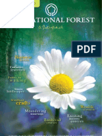 The National Forest and Beyond Visitor Guide