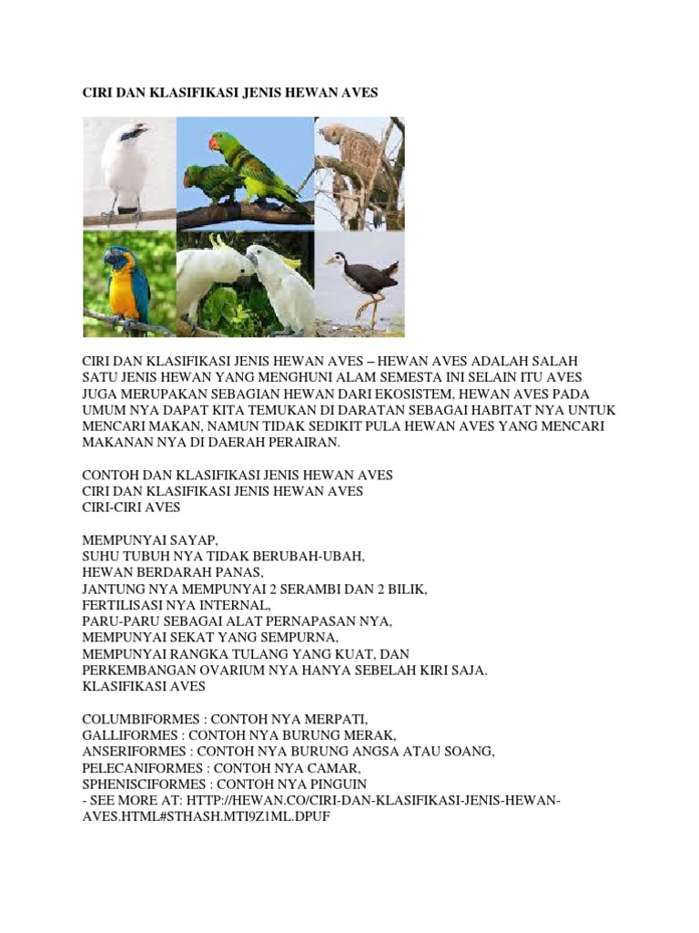 Download 930 Gambar Hewan Aves Terbaru HD