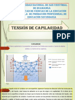 Diapositivas de Tension Capilaridad