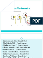 Kelp 7 Embriologi Sistem Urinaria